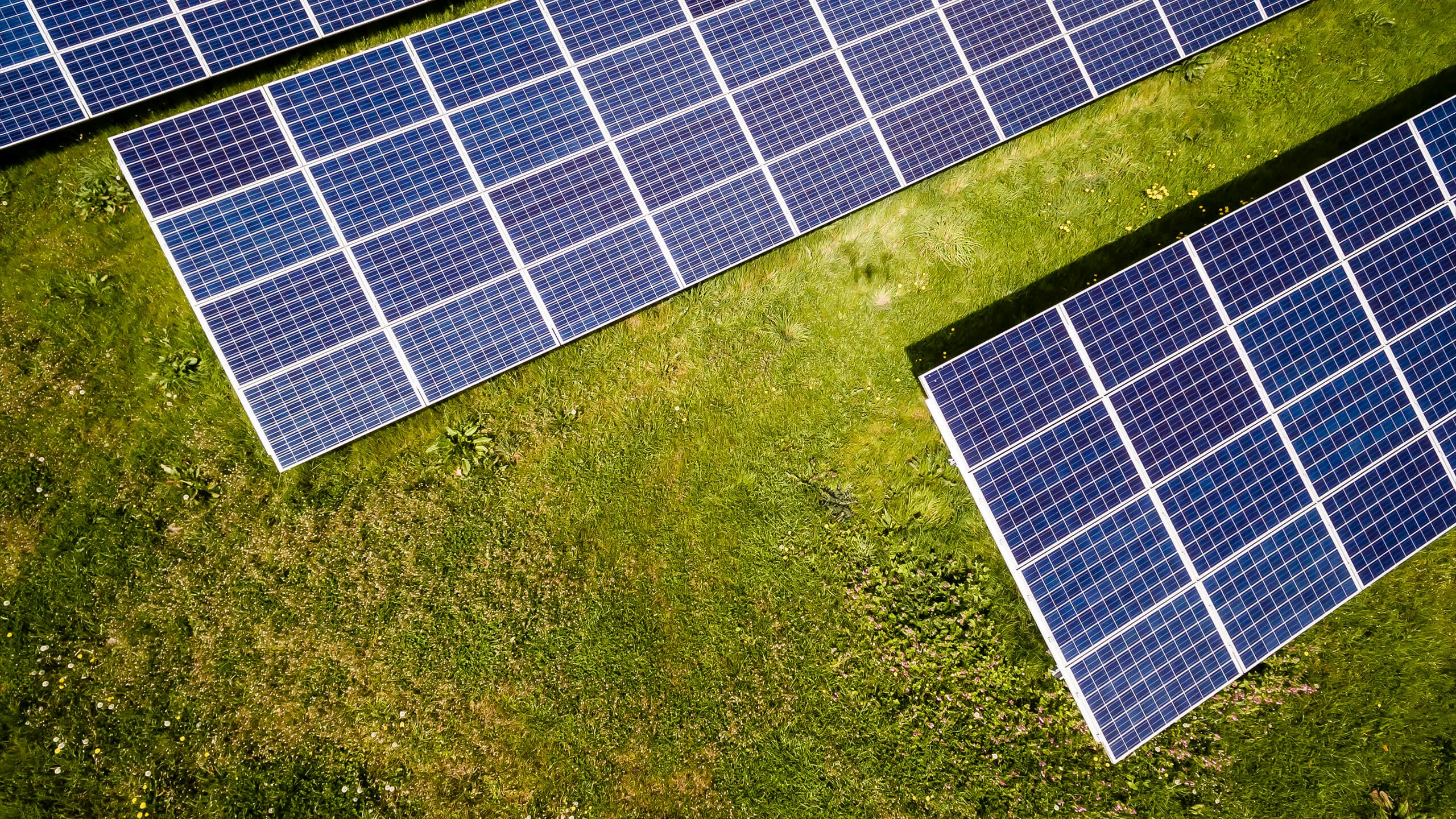 Empowering Education with Sustainable Energy Solutions When a secondary school in Ibadan faced challenges with unreliable electricity supply, they turned to us for a sustainable solution that would not only reduce their energy costs but also ensure a continuous power supply. Understanding the critical role that consistent electricity plays in the educational environment, we proposed and installed a comprehensive solar power system tailored to meet the specific energy needs of the school.